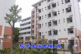 new-13(1)